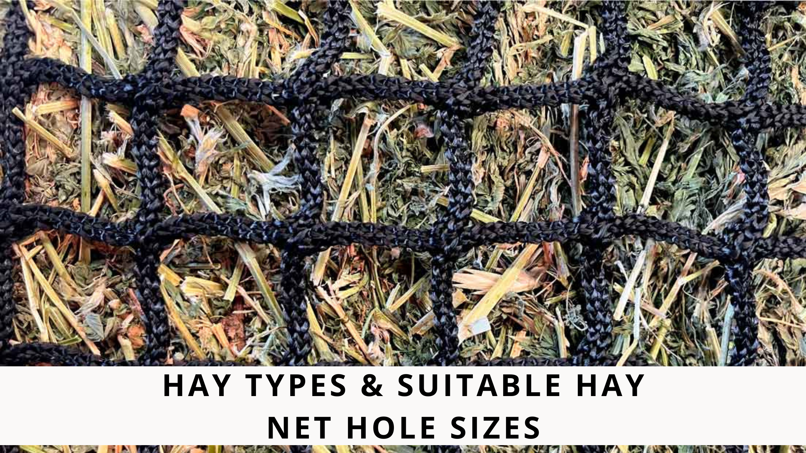 Hay types & suitable hay net hole sizes – Gutzbusta New Zealand