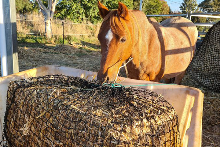 Knotted Hay Nets - Extra Large
