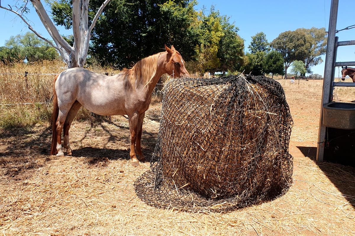 Knotless Hay Nets - 4'x4' Round Bale – Gutzbusta New Zealand