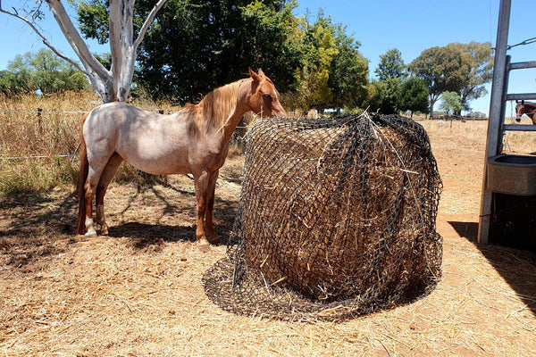 Knotless Hay Nets - 4'x4' Round Bale