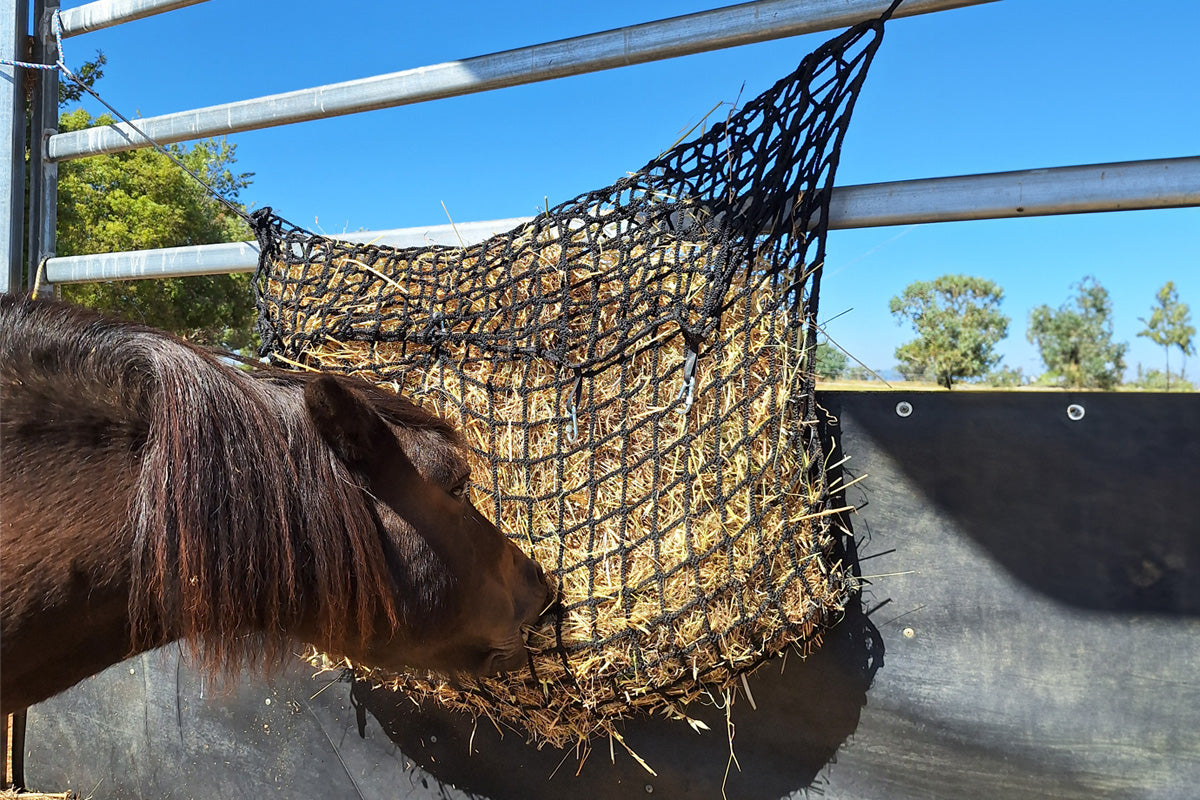 Junior Hay-Stay Hanging Knotless Hay Net – Gutzbusta New Zealand