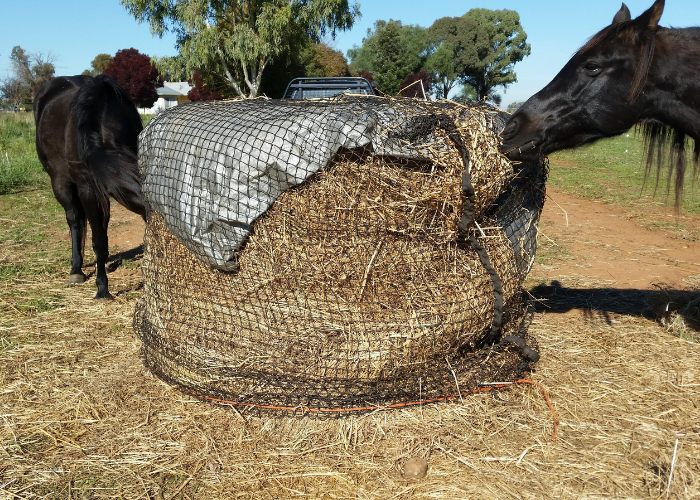 Knotted Hay Nets - 4'x4' Round Bale